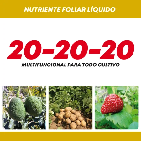 Etiqueta de producto 20-20-20