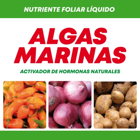 Etiqueta de producto Algas Marinas
