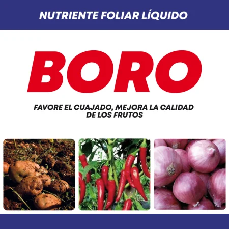 Etiqueta de producto Boro