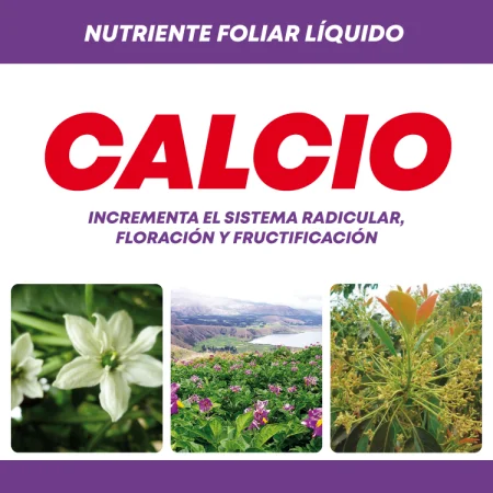 Etiqueta de producto Calcio